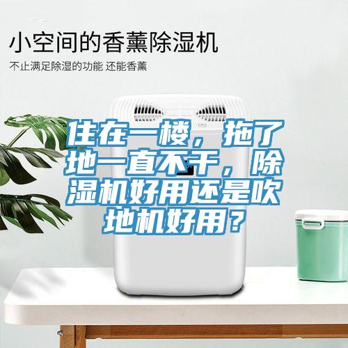住在一樓，拖了地一直不干，除濕機好用還是吹地機好用？