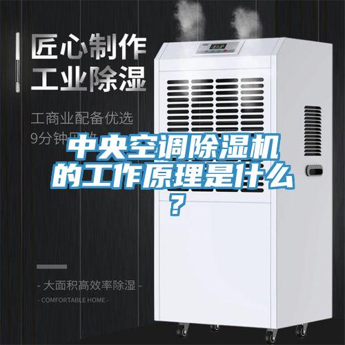 中央空調除濕機的工作原理是什么？