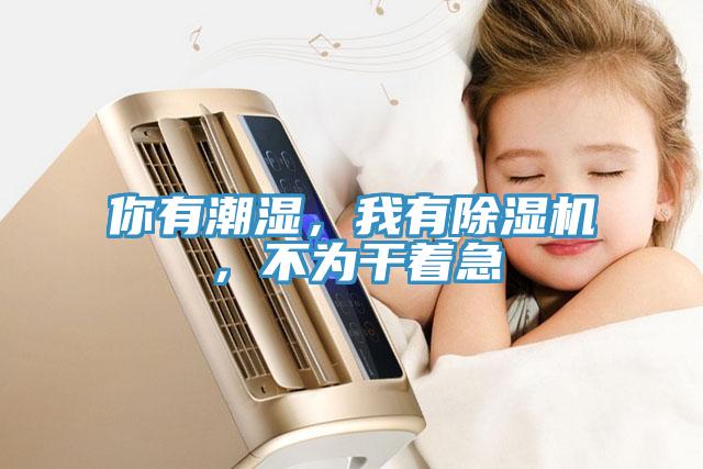 你有潮濕，我有除濕機(jī)，不為干著急