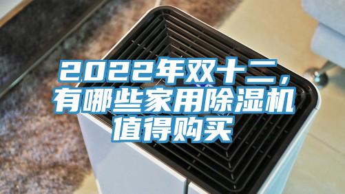 2022年雙十二，有哪些家用除濕機(jī)值得購(gòu)買