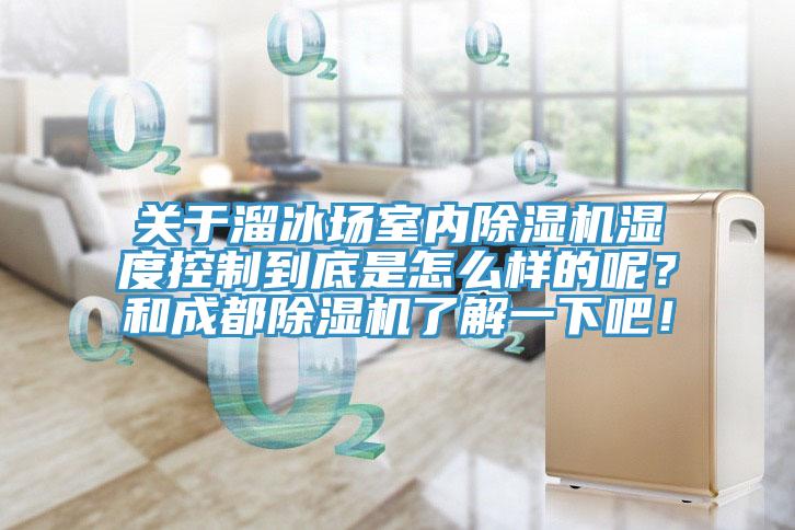 關(guān)于溜冰場室內(nèi)除濕機(jī)濕度控制到底是怎么樣的呢？和成都除濕機(jī)了解一下吧！