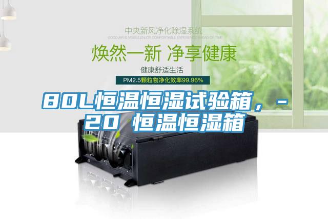 80L恒溫恒濕試驗箱，-20℃恒溫恒濕箱