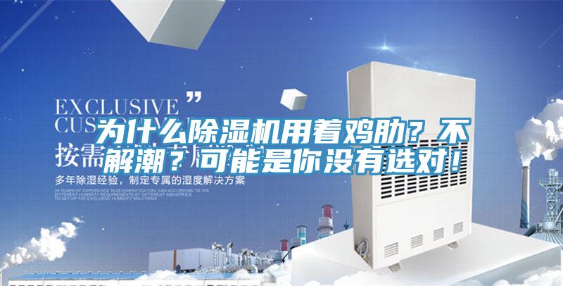 為什么除濕機用著雞肋？不解潮？可能是你沒有選對！