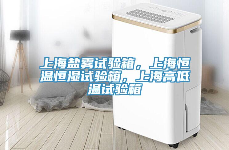上海鹽霧試驗箱，上海恒溫恒濕試驗箱，上海高低溫試驗箱