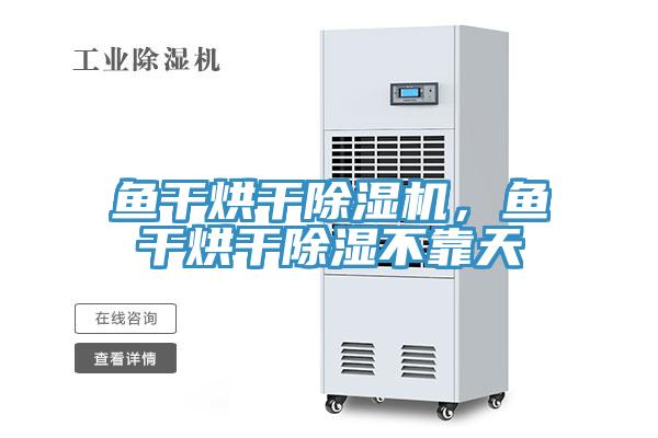 魚(yú)干烘干除濕機(jī)，魚(yú)干烘干除濕不靠天