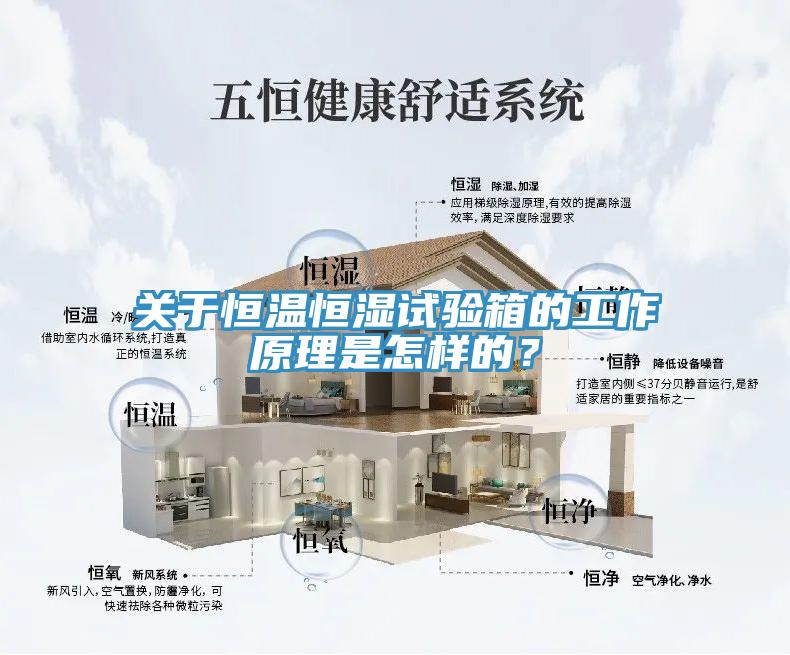 關(guān)于恒溫恒濕試驗(yàn)箱的工作原理是怎樣的？