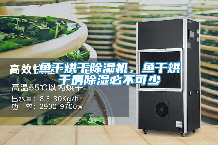 魚(yú)干烘干除濕機(jī)，魚(yú)干烘干房除濕必不可少