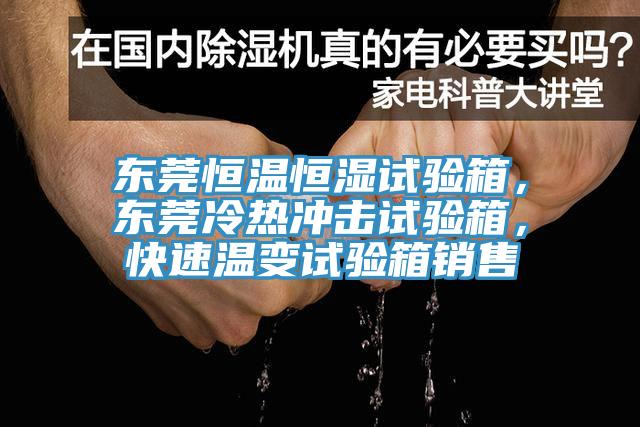 東莞恒溫恒濕試驗(yàn)箱，東莞冷熱沖擊試驗(yàn)箱，快速溫變?cè)囼?yàn)箱銷售