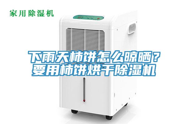 下雨天柿餅怎么晾曬？要用柿餅烘干除濕機(jī)