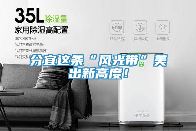 分宜這條“風光帶”美出新高度！