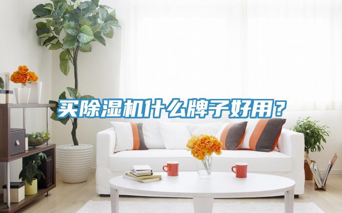 買除濕機(jī)什么牌子好用？