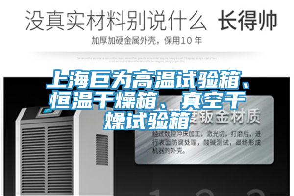 上海巨為高溫試驗(yàn)箱、恒溫干燥箱、真空干燥試驗(yàn)箱