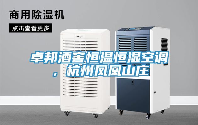卓邦酒窖恒溫恒濕空調，杭州鳳凰山莊
