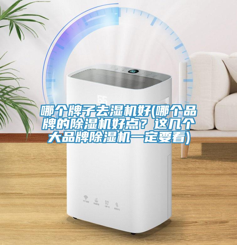 哪個牌子去濕機(jī)好(哪個品牌的除濕機(jī)好點(diǎn)？這幾個大品牌除濕機(jī)一定要看)