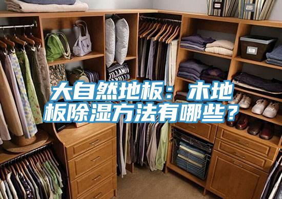 大自然地板：木地板除濕方法有哪些？