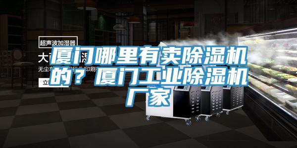 廈門哪里有賣除濕機(jī)的？廈門工業(yè)除濕機(jī)廠家