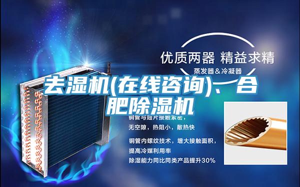 去濕機(jī)(在線咨詢)、合肥除濕機(jī)