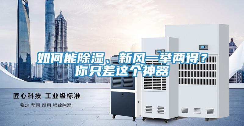 如何能除濕、新風(fēng)一舉兩得？你只差這個神器