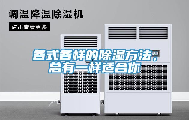 各式各樣的除濕方法，總有一樣適合你