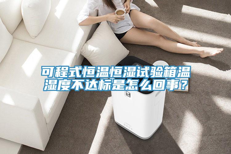 可程式恒溫恒濕試驗箱溫濕度不達標是怎么回事？