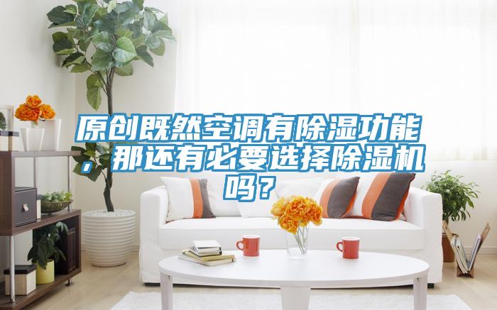 原創(chuàng)既然空調(diào)有除濕功能，那還有必要選擇除濕機(jī)嗎？
