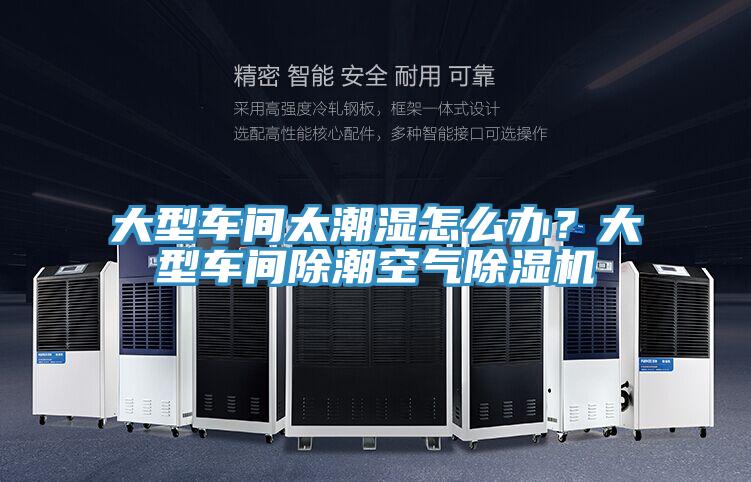 大型車間太潮濕怎么辦？大型車間除潮空氣除濕機