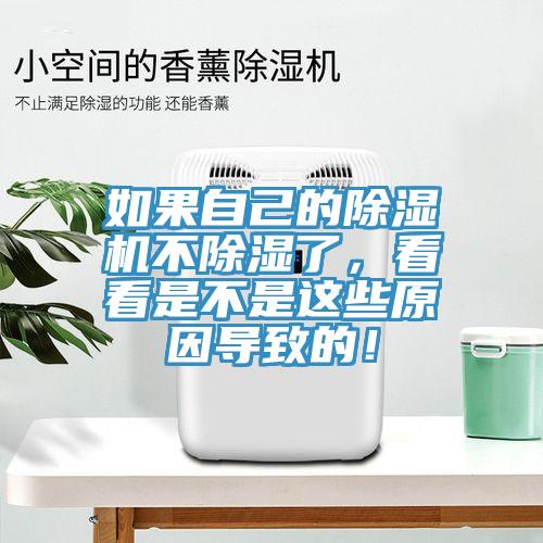 如果自己的除濕機(jī)不除濕了，看看是不是這些原因?qū)е碌模?></div>
								<div   id=