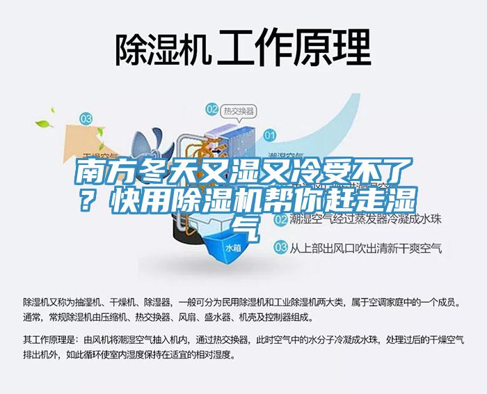 南方冬天又濕又冷受不了？快用除濕機(jī)幫你趕走濕氣