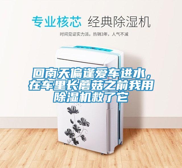 回南天偏逢愛車進水，在車?yán)镩L蘑菇之前我用除濕機救了它