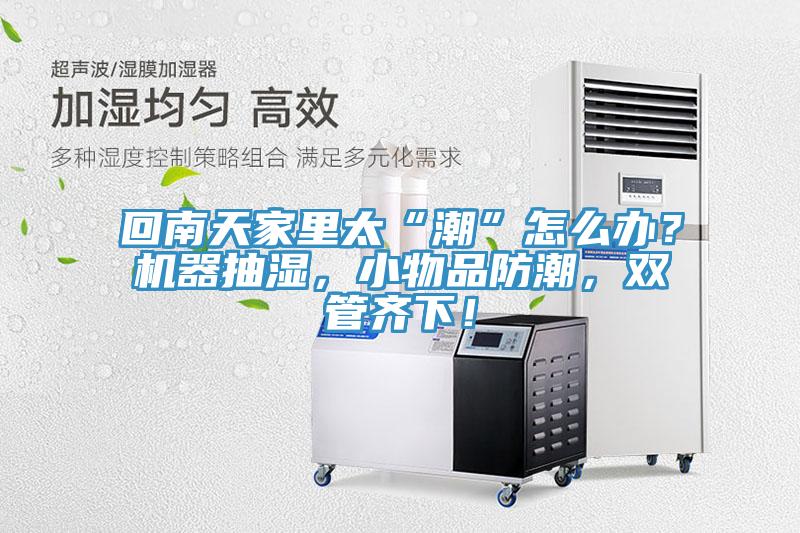 回南天家里太“潮”怎么辦？機器抽濕，小物品防潮，雙管齊下！
