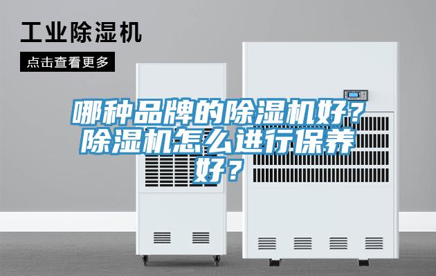 哪種品牌的除濕機好？除濕機怎么進行保養(yǎng)好？