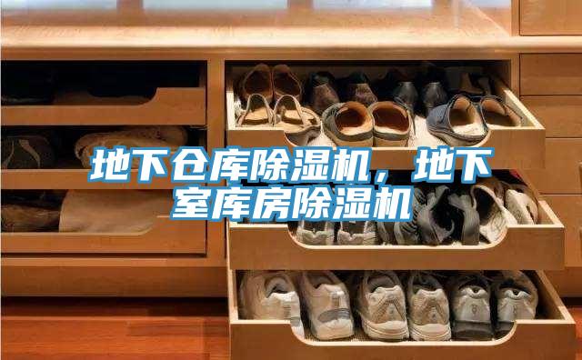地下倉庫除濕機，地下室?guī)旆砍凉駲C
