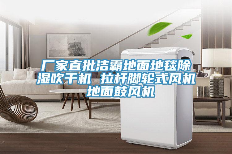 廠(chǎng)家直批潔霸地面地毯除濕吹干機(jī) 拉桿腳輪式風(fēng)機(jī) 地面鼓風(fēng)機(jī)