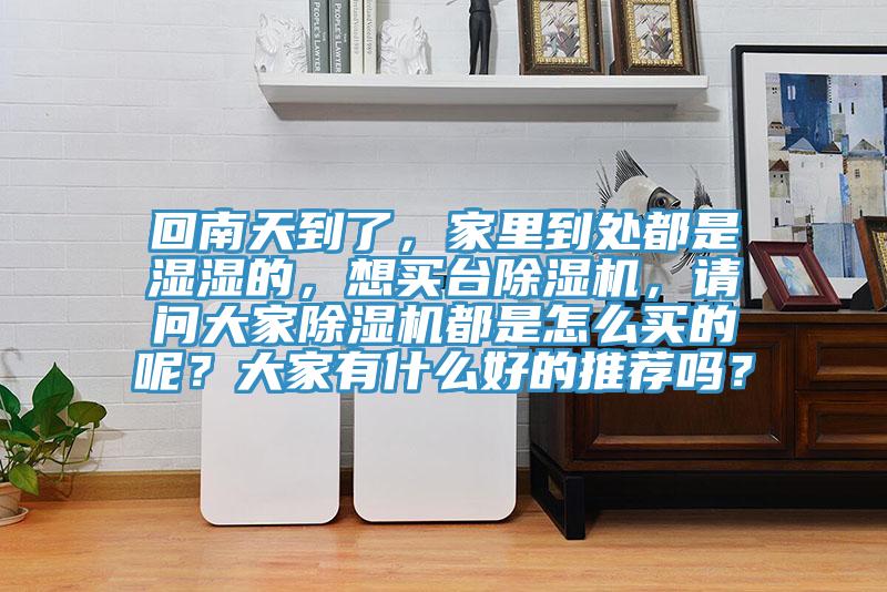 回南天到了，家里到處都是濕濕的，想買臺除濕機，請問大家除濕機都是怎么買的呢？大家有什么好的推薦嗎？