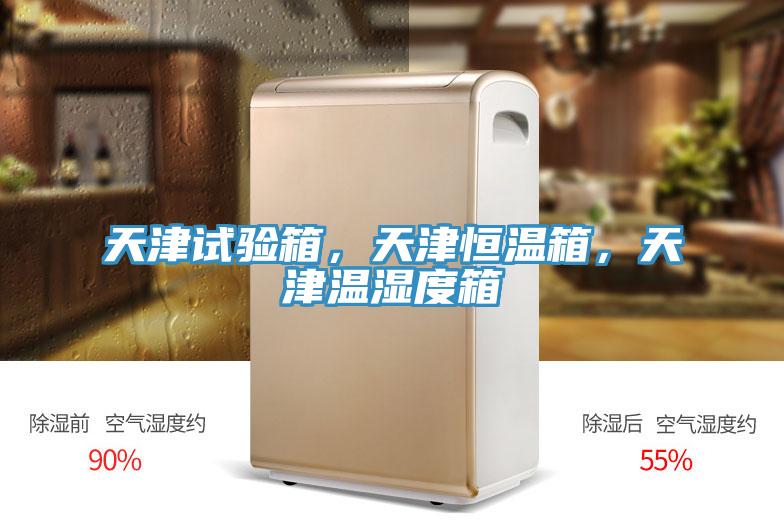 天津試驗箱，天津恒溫箱，天津溫濕度箱