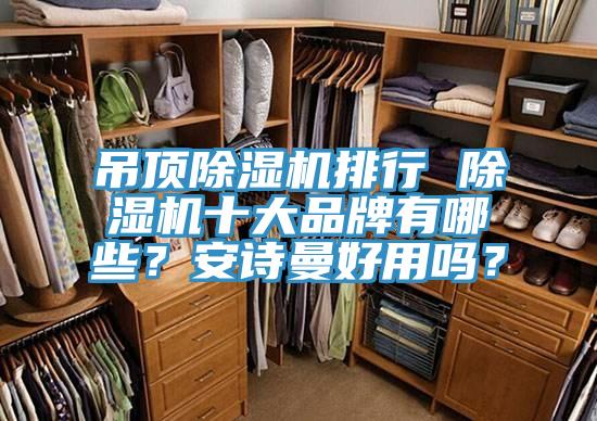吊頂除濕機(jī)排行 除濕機(jī)十大品牌有哪些？安詩(shī)曼好用嗎？