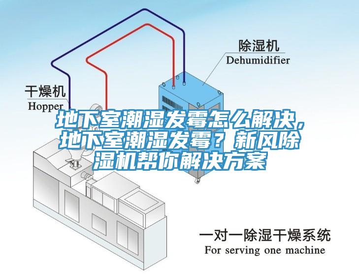 地下室潮濕發(fā)霉怎么解決，地下室潮濕發(fā)霉？新風(fēng)除濕機(jī)幫你解決方案