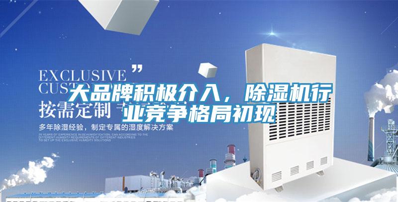 大品牌積極介入，除濕機(jī)行業(yè)競爭格局初現(xiàn)