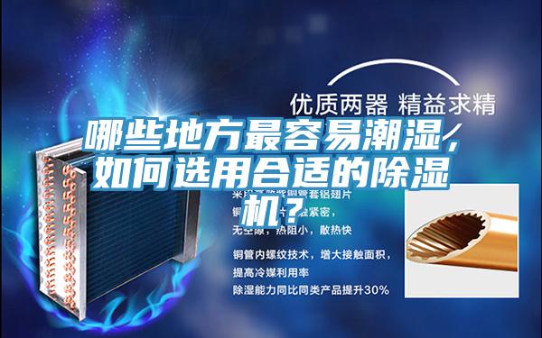 哪些地方最容易潮濕，如何選用合適的除濕機(jī)？