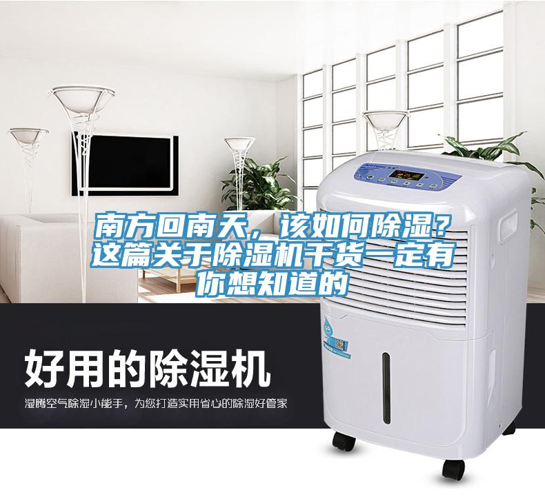 南方回南天，該如何除濕？這篇關(guān)于除濕機(jī)干貨一定有你想知道的