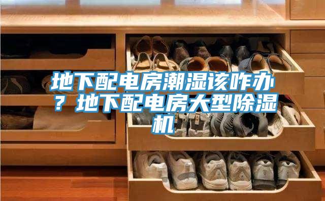 地下配電房潮濕該咋辦？地下配電房大型除濕機