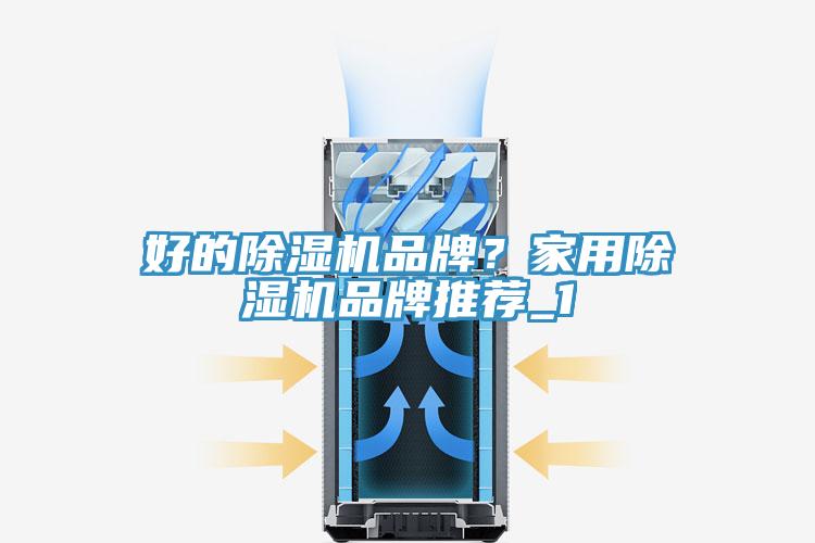 好的除濕機(jī)品牌？家用除濕機(jī)品牌推薦_1