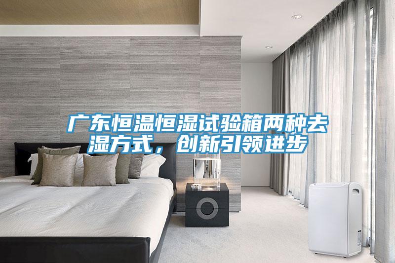 廣東恒溫恒濕試驗(yàn)箱兩種去濕方式，創(chuàng)新引領(lǐng)進(jìn)步