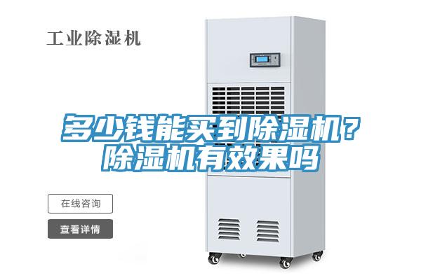 多少錢能買到除濕機？除濕機有效果嗎