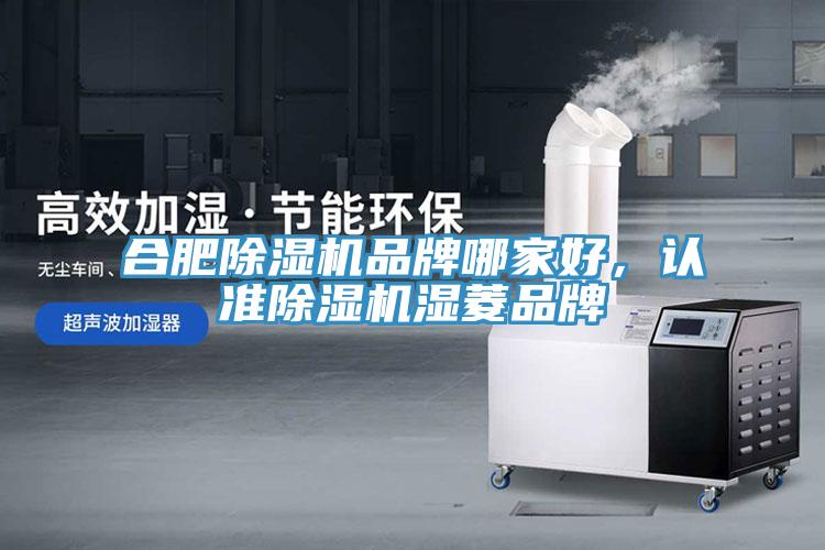 合肥除濕機(jī)品牌哪家好，認(rèn)準(zhǔn)除濕機(jī)濕菱品牌