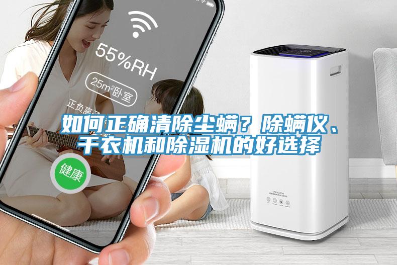 如何正確清除塵螨？除螨儀、干衣機和除濕機的好選擇