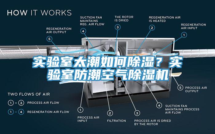實(shí)驗(yàn)室太潮如何除濕？實(shí)驗(yàn)室防潮空氣除濕機(jī)