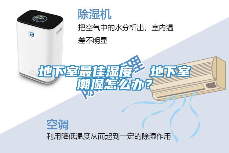 地下室最佳濕度  地下室潮濕怎么辦？