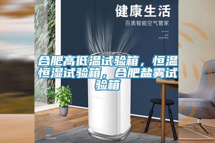 合肥高低溫試驗(yàn)箱，恒溫恒濕試驗(yàn)箱，合肥鹽霧試驗(yàn)箱