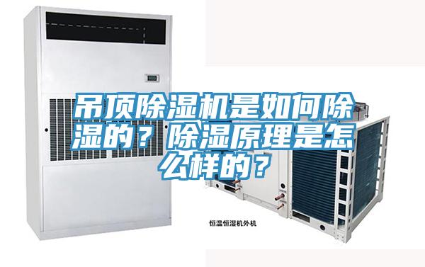 吊頂除濕機(jī)是如何除濕的？除濕原理是怎么樣的？